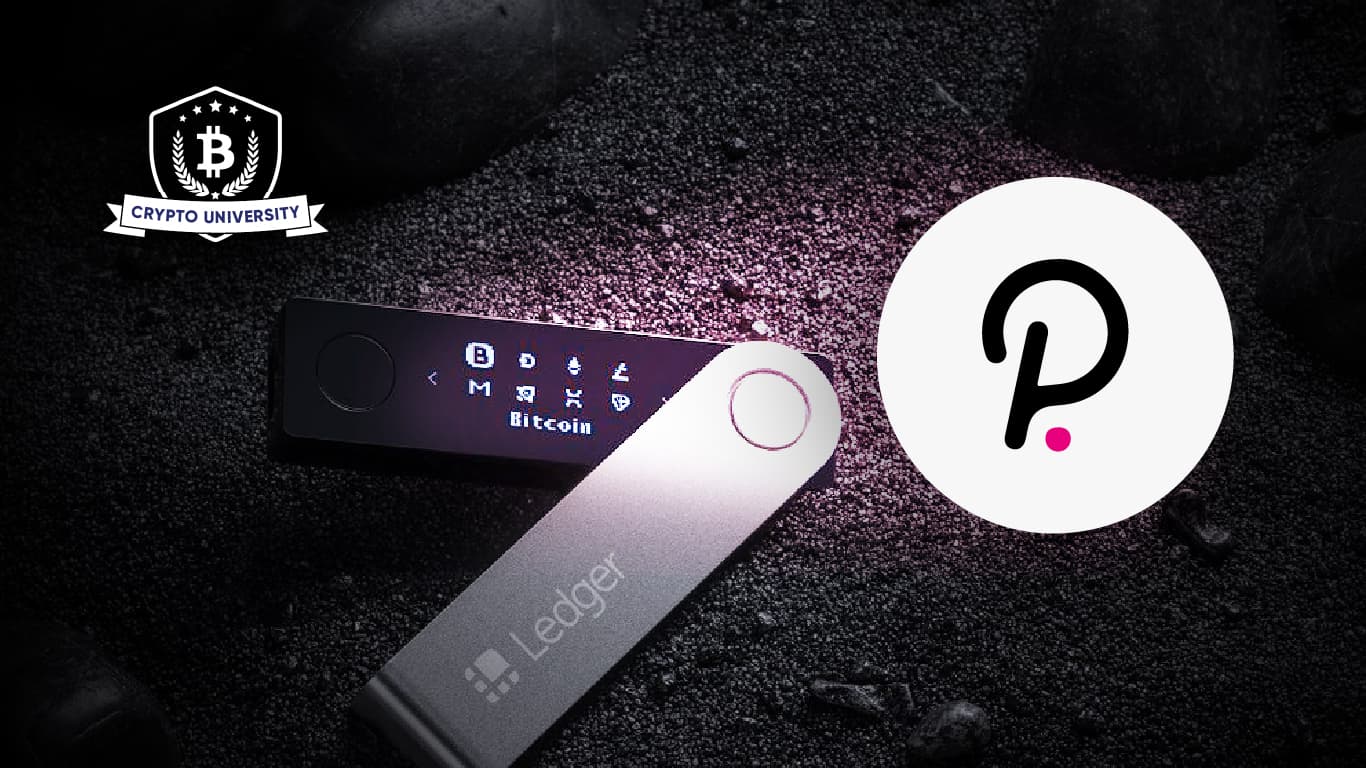 The Ledger Ecosystem is growing! You can now stake Polkadot!