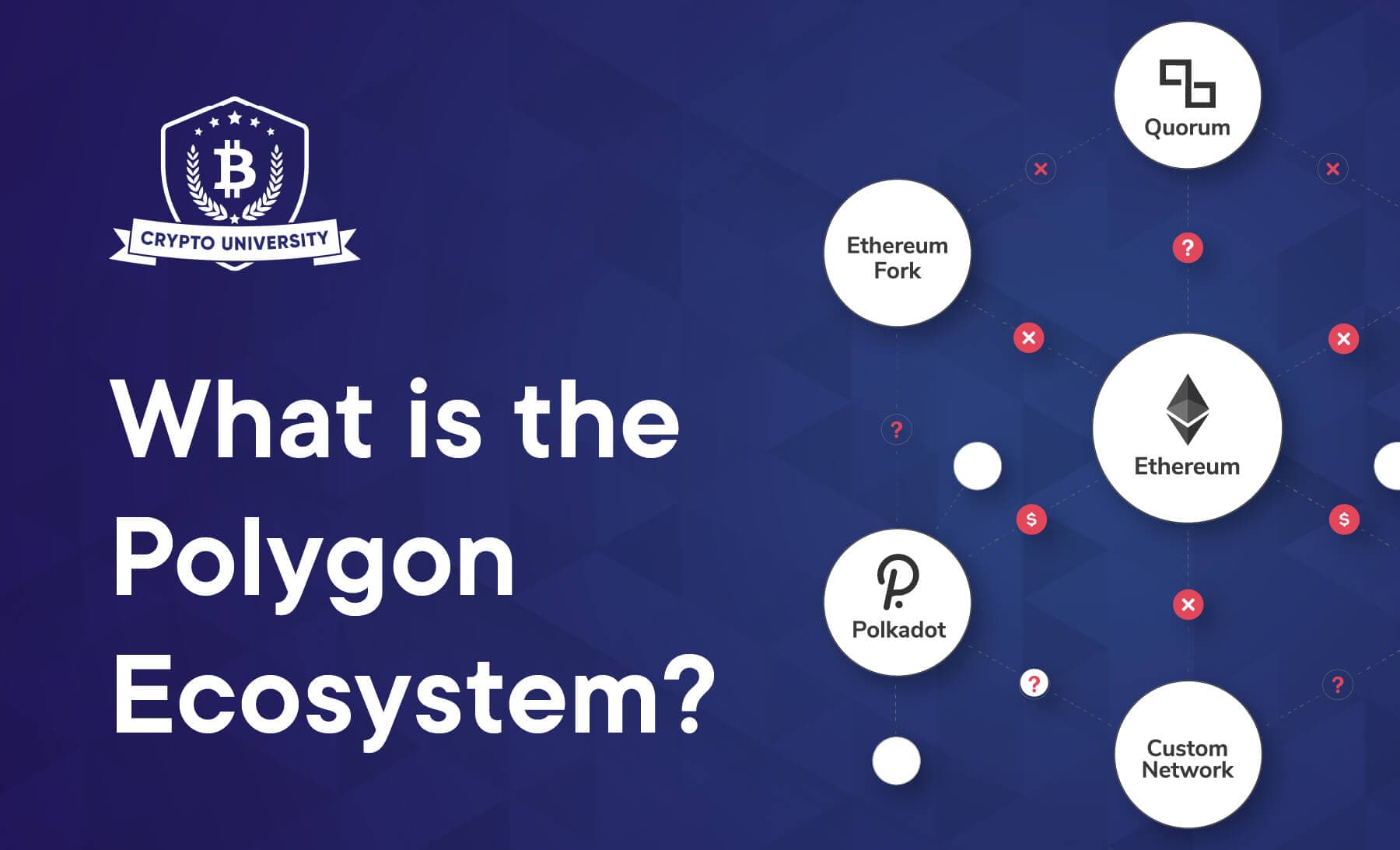What is the Polygon ecosystem?