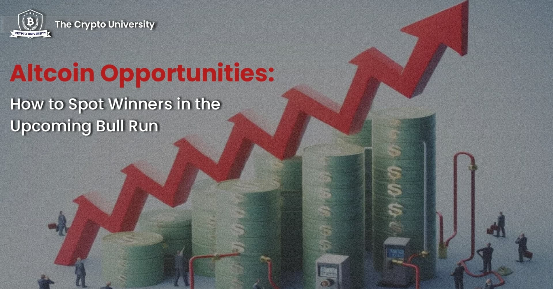 Altcoin Opportunities: How to Spot Winners in the Upcoming Bull Run!