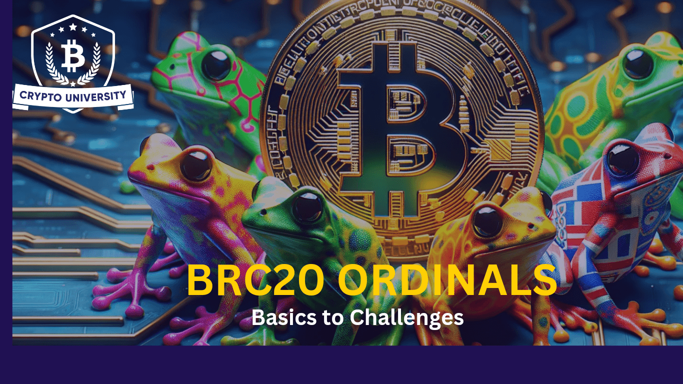 BRC20 ORDINALS: FROM BASICS TO MINTING, TRADING AND CHALLENGES.