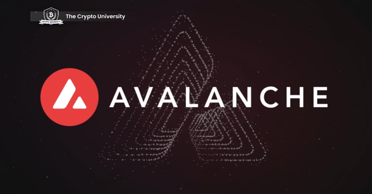 Avalanche Foundation Embraces Memecoins: Investing in Culture and Fun