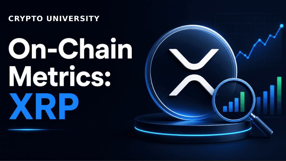 On-Chain Metrics Explained: XRP Case Study