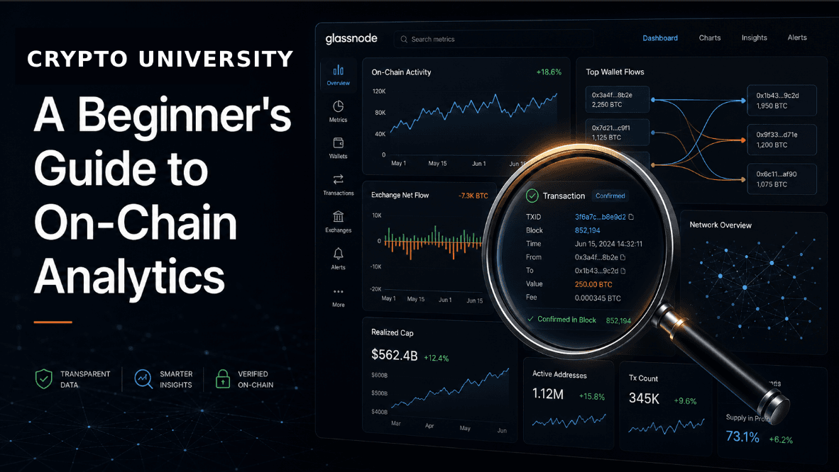 What is Glassnode? A Beginner's Guide to On-Chain Analytics